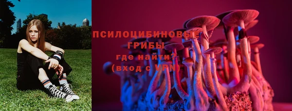 СК Арсеньев