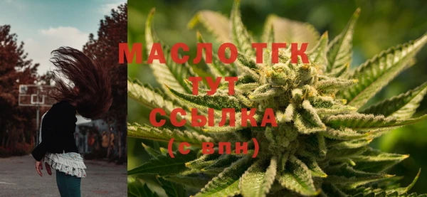 спиды Аркадак