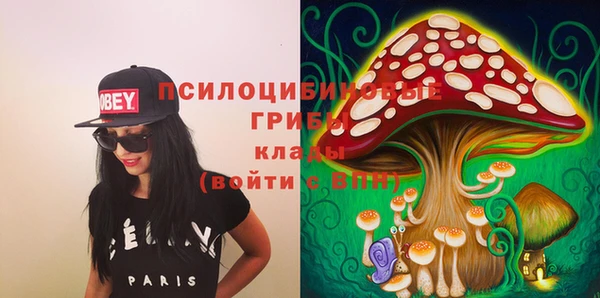 прущие крисы Армянск