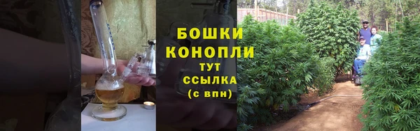СК Арсеньев